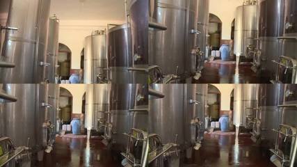 葡萄酒加工葡萄酒加工