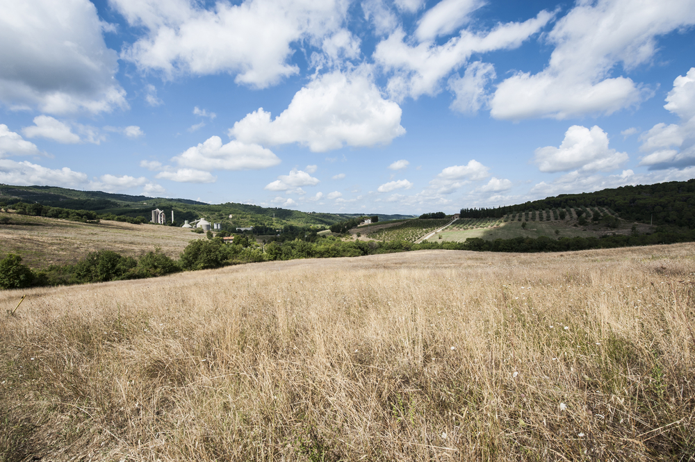 托斯卡納的農(nóng)產(chǎn)品加工工廠意大利葡萄酒農(nóng)場(chǎng)四周環(huán)繞著葡萄園和橄欖樹(shù)